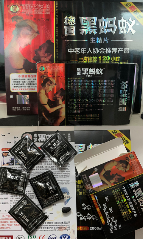 德國黑螞蟻香港